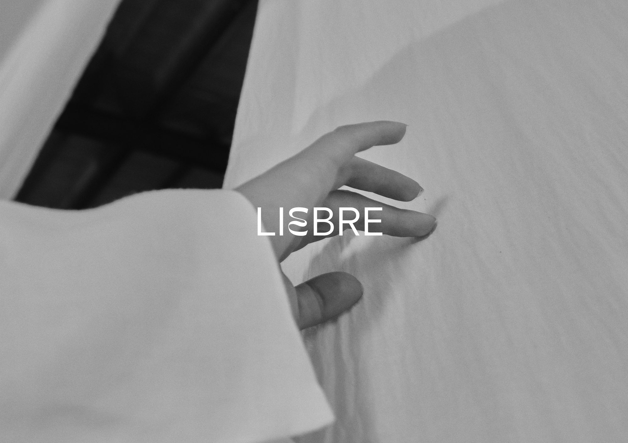 Liebre Democracy